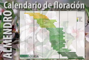 Calendario de floración de las principales variedades comerciales de almendro