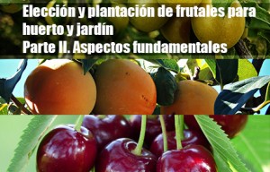 Elección y plantación de frutales para huerto y jardín. Parte II. Aspectos fundamentales