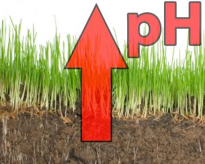 Corrección de un suelo ácido (encalado) - Agrologica