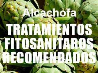 fitosanitarios alcachofa