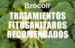 Tratamientos fitosanitarios en brócoli
