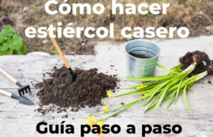 Cómo Hacer Estiércol Casero: Guía Paso a Paso para Fertilizar tu Jardín