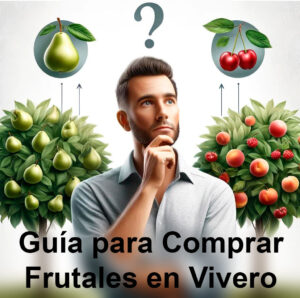 Guía para Comprar Frutales en vivero: Todo lo que Necesitas Saber