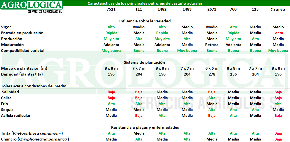 Tabla comparativa patrones castaño